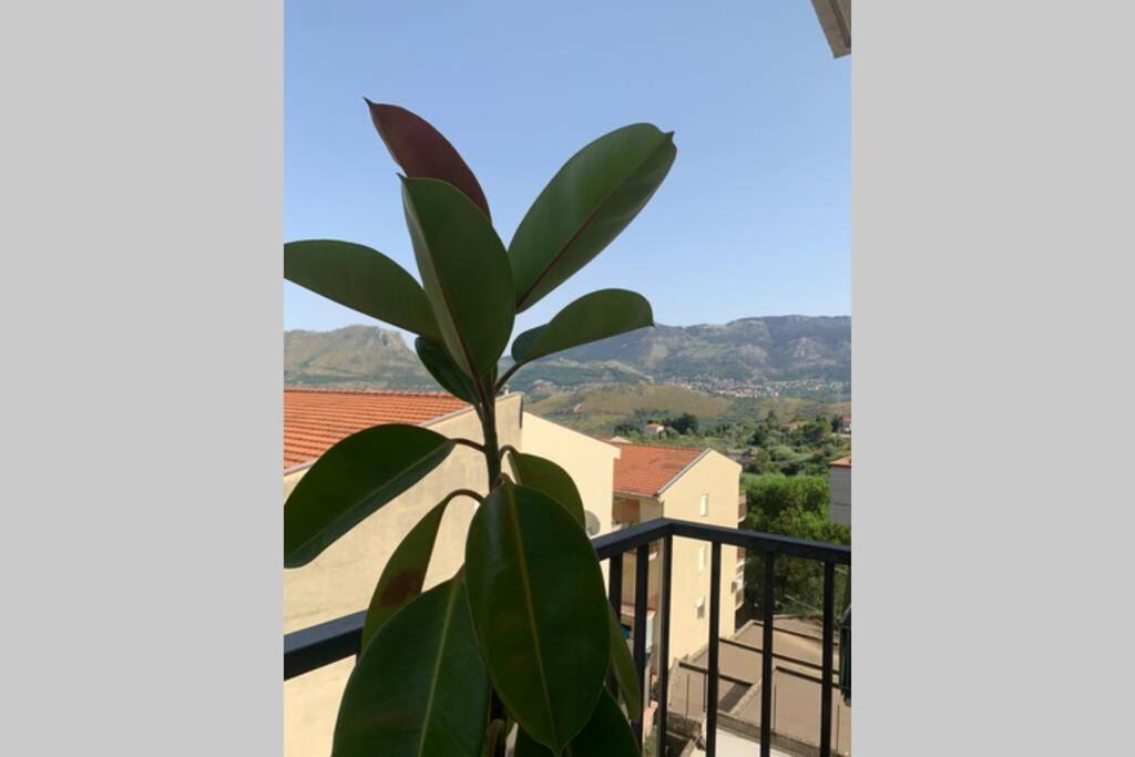 Casa Vacanza - I Mulini Con Parcheggio Gratuito Incluso. Monreale Exterior photo